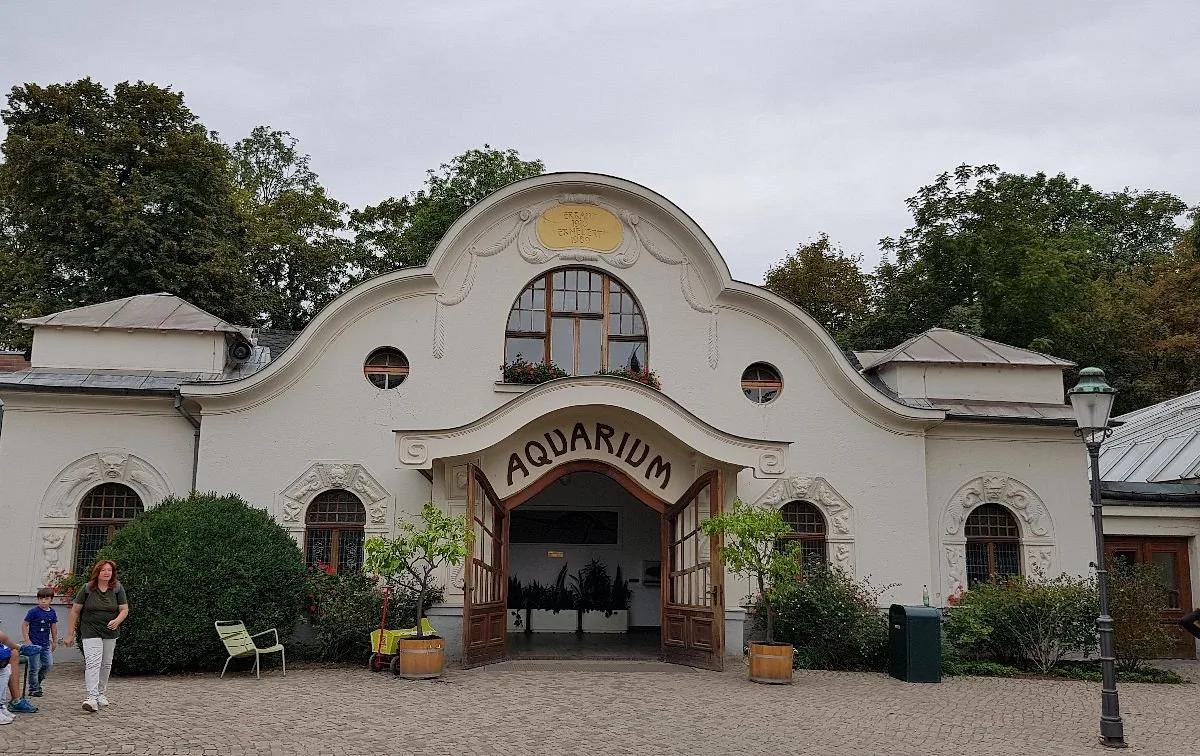 20180901-174055-largejpg