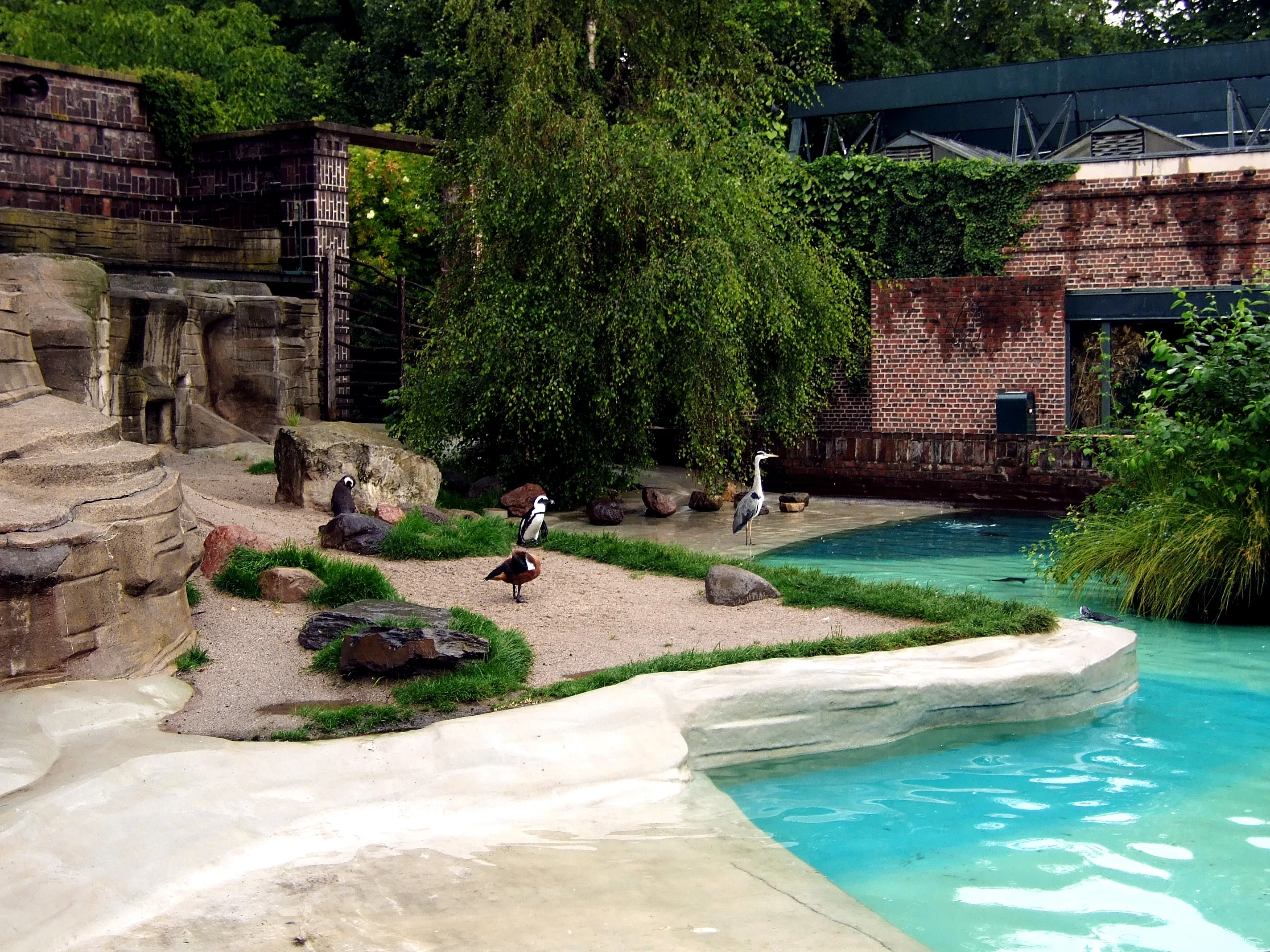 Pinguinanlage Zoo Leipzig