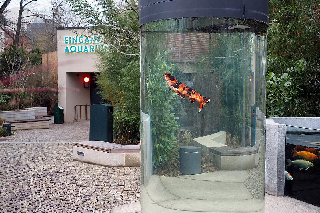 csm Koi-Dome auf dem neugestalteten Zoo Leipzig aa68592fc9