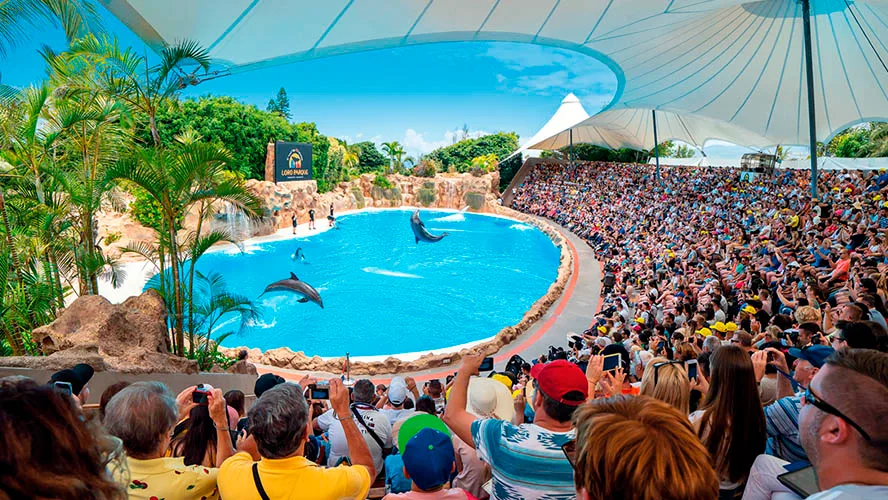 actividades-tenerife-loro-parque