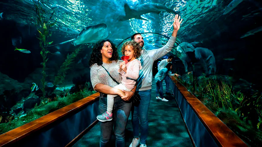 loro-parque-aquarium