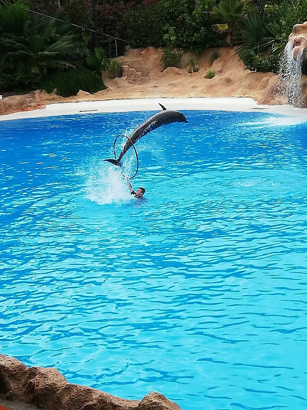 entrada-a-loro-parque (1)
