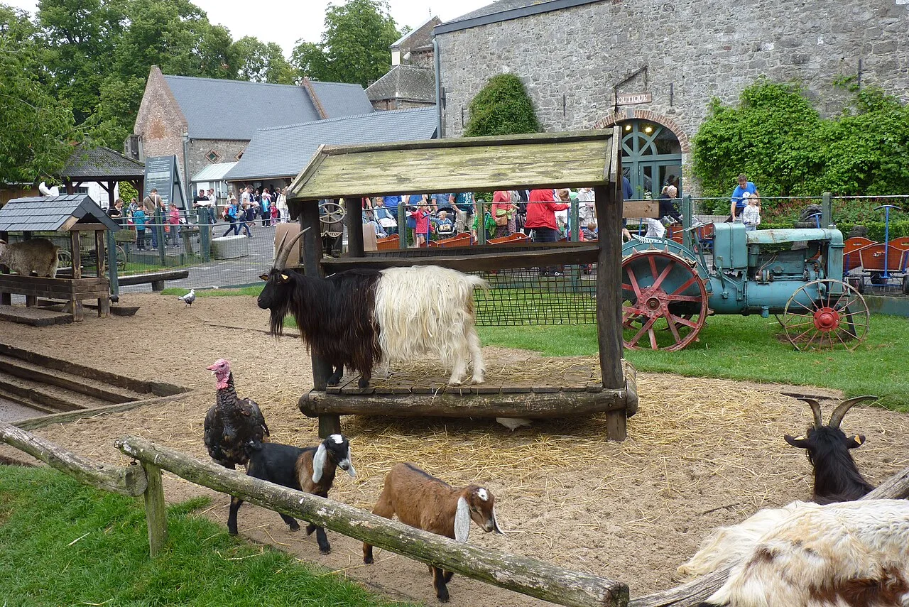 Pairi Daiza mini-farm
